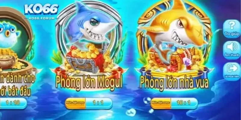 Tân thủ cũng có thể trở thành chúa tể đại dương 